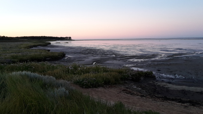 瓦特, 景观, 海滩, 海岸, 水, 天空, 海, 土地