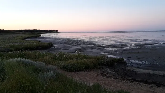 瓦特, 景观, 海滩, 海岸, 水, 天空, 海, 土地