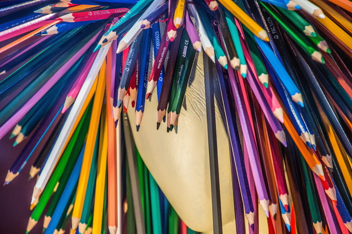 颜色，彩色，面部，现代，抽象，颜色，模型，设计