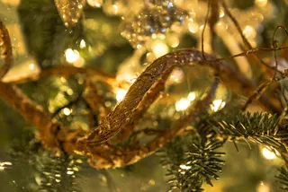 圣诞节, 圣诞树, 装饰品, 节日, 树, 植物, 没有人, 一种动物