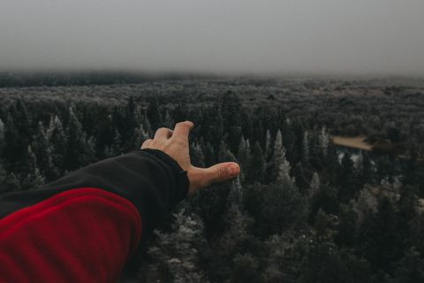 树，森林，森林，手，红色，第一人称，壁纸，冷