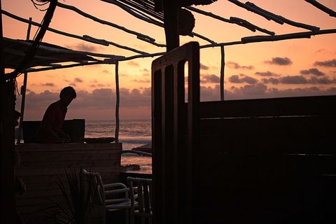 摩洛哥、柽柳、普拉格达尔博阿扎2号、寒冷、橙色、木材、生态、日落