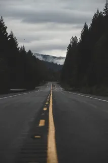 树间灰色水泥路 树间灰色水泥路