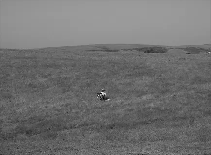 画家，山水，孤独，艺术家，绘画，艺术，乡村，广阔