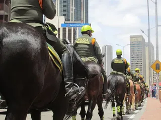 骑行、警察、游行、城市、哺乳动物、真人、家畜、家畜