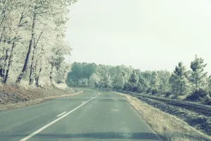 道路，路面，公路，乡村，树木，乡村，天空，树木