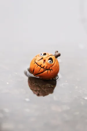 图，自然，南瓜，天气，雨，水，一个动物，没有人