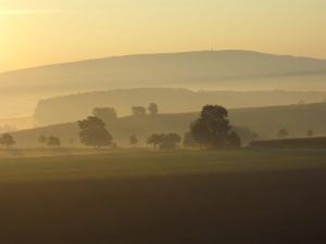 请捐款，咖啡捐款，贝宝，请欣赏，weser uplands，bühren，fog，light snowfall