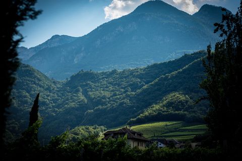 棕色木屋上方的青山