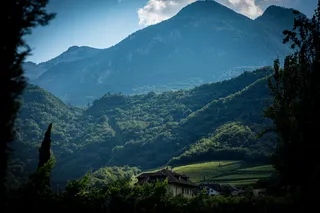棕色木屋上方的青山