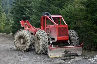 木材, 切片, 伐木工人, 森林, 山, 切, 树, 大包