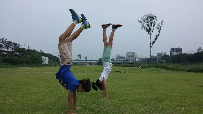 负责木材、儿童、游戏、公园、草地、植物、全长、运动的水区办事员