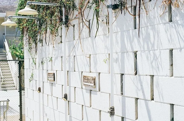 淋浴、混凝土、墙壁、藤蔓、白色、建筑、建筑结构、无人居住