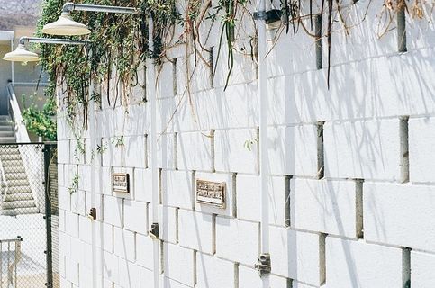 淋浴、混凝土、墙壁、藤蔓、白色、建筑、建筑结构、无人居住