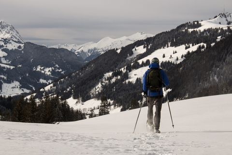 雪,冬天,高山,运动,寒冷,雪鞋,冬季运动,高山 雪,冬天,高山,运动,寒冷,雪鞋,冬季运动,高山