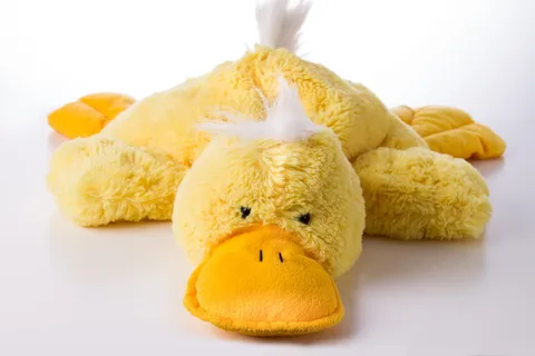 疲倦、被杀、沮丧、马特、沮丧、春季疲劳、不知所措、泰迪 疲倦、被杀、沮丧、马特、沮丧、春季疲劳、不知所措、泰迪