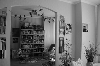 家具，书架，书架，室内，房间，客厅，室内设计，沙发