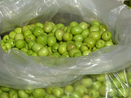 橄榄，绿色，绿色橄榄，核果，市场，食品和饮料，绿色，食品