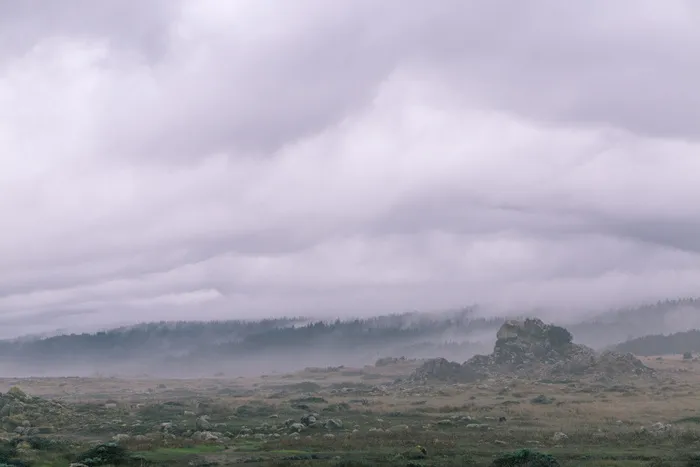 美国，詹纳，盐点州立公园，壁纸，雾，海滩，盐点，广阔