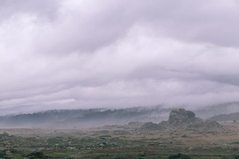 美国,詹纳,盐点州立公园,壁纸,雾,海滩,盐点,广阔 美国,詹纳,盐点州立公园,壁纸,雾,海滩,盐点,广阔