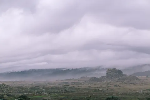美国,詹纳,盐点州立公园,壁纸,雾,海滩,盐点,广阔 美国,詹纳,盐点州立公园,壁纸,雾,海滩,盐点,广阔