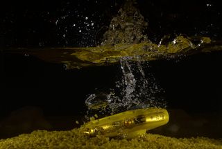 相机，水，相机，变焦，照片，尼康，水下，质量