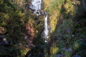 水、自然、户外、河流、瀑布、阿伯弗伊尔、洛奇——英国伊丽莎白女王森林公园森林游客中心