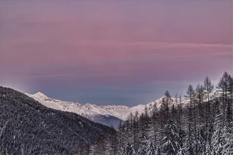 被雪覆盖、树木环绕的山脉照片 被雪覆盖、树木环绕的山脉照片