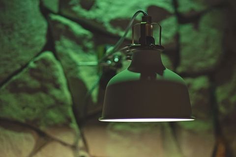 灯光、岩石、墙壁、灯具、特写、照明设备、聚焦前景、树木