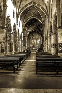 教堂，圣方济各，中堂，赞美，中堂，建筑，圣方济各教堂，意大利