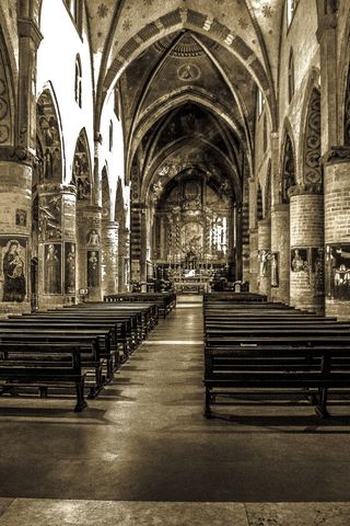 教堂，圣方济各，中堂，赞美，中堂，建筑，圣方济各教堂，意大利