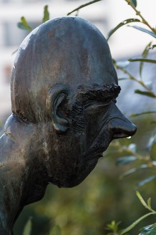 头, 鼻子, 滴水, 冷, 时间, 生病, 冷时间, 疾病