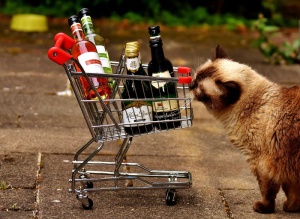 棕色、猫、站立、购物车、酒瓶、购物、好奇、出售
