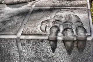 混凝土表面石像鬼爪印的灰度照片