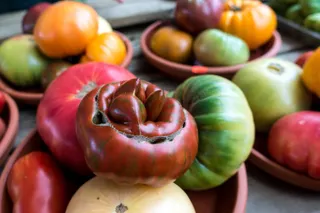 植物，食品，苹果，水果，蔬菜，农产品，西红柿，南瓜