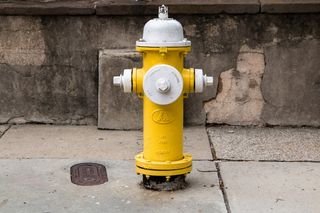 美国查尔斯顿，消防栓，黄色，街道，南卡罗来纳州，安全，保护