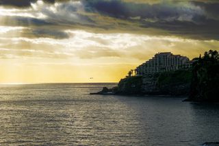 日落、大海、海边、海景、度假胜地、棕榈树、树木、浪漫