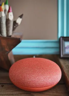 coral Google Home Mini coral Google Home Mini