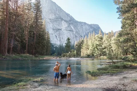 人、人、树、植物、冷杉、冷杉、大自然、户外