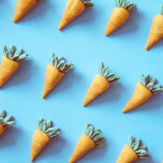 橙色胡萝卜玩具