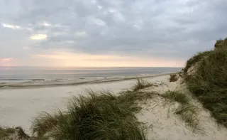 海岸线，水，户外，海，海洋，自然，海滩，植物
