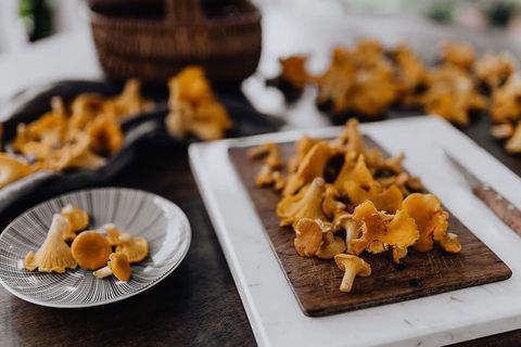 在树林里采蘑菇