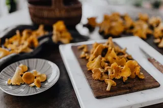 在树林里采蘑菇