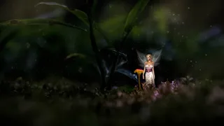 幻想、费、森林、苔藓、沉默、童话、神秘、魔法