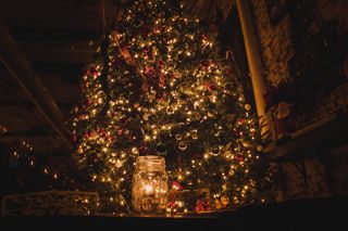 圣诞节，圣诞树，灯饰，圣诞树，庆祝活动，节日，装饰，圣诞装饰