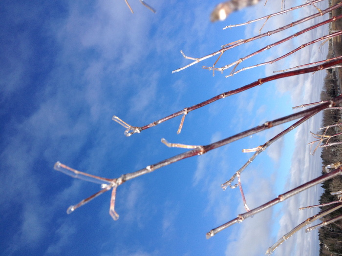 加拿大，卡尔加里，天空，低角度视图，云天，蓝色，自然，白天