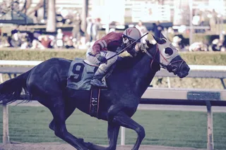 圣安妮塔公园, 美国, 阿卡迪亚, 尾巴, 面具, 星期一, 品种, 纯面包