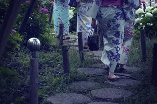 日本、泰特ō、住田公园、玉田公园、和服、绣球、踏脚石