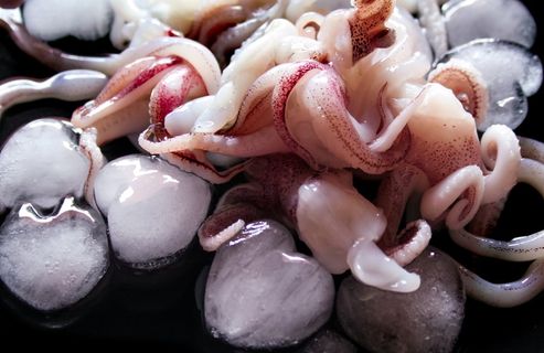 棕色鱿鱼,壁纸,食物,鱼,海,菜,意大利,肉 棕色鱿鱼,壁纸,食物,鱼,海,菜,意大利,肉