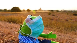 克米特，青蛙，毛绒，玩具，穿戴，口罩，护嘴，防护